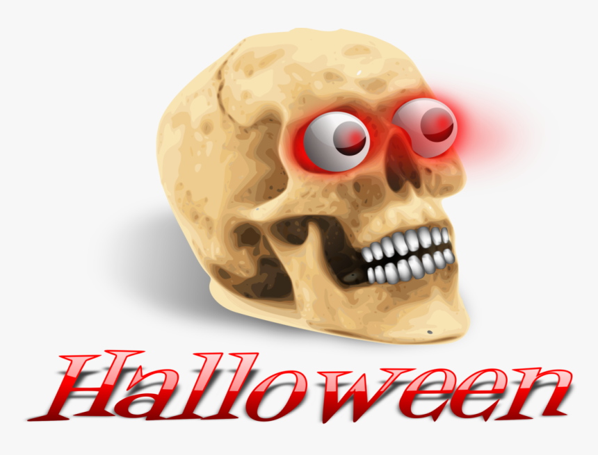 Head,skeleton,skull - Human Skull, HD Png Download