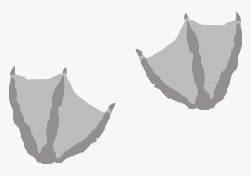 Transparent Duck Footprints, HD Png Download