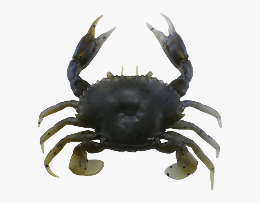 Savage Gear 3d Pvc Crab Soft Plastic Crab 

 
 Data - Freshwater Crab, HD Png Download