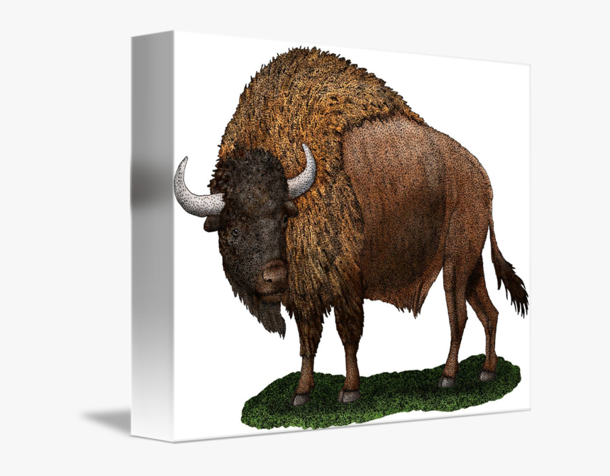 Twin Drawing Bison - Ancient Bison, HD Png Download