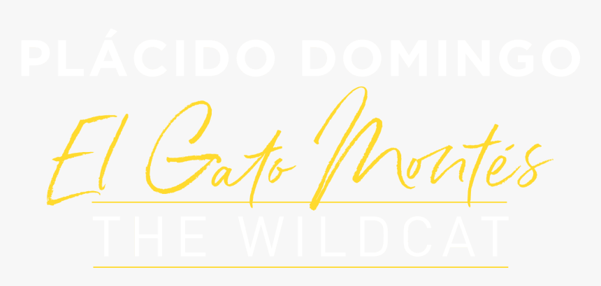 El Gato Montes - Calligraphy, HD Png Download