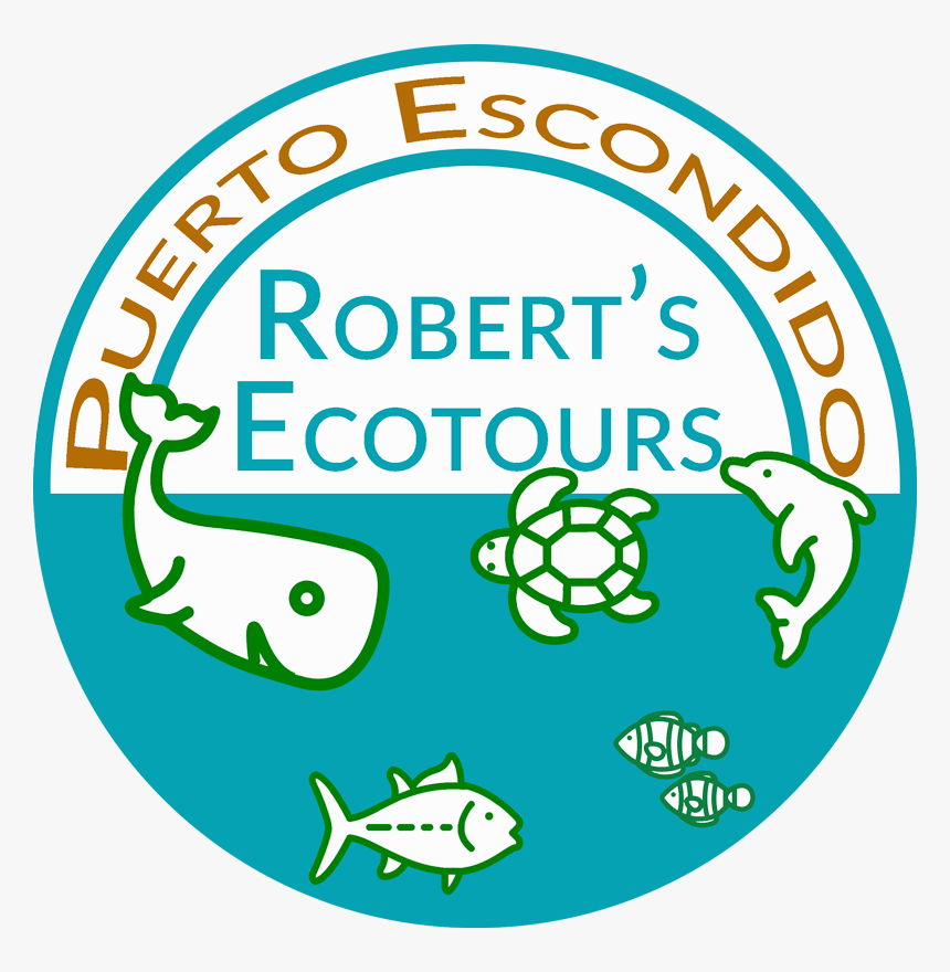 Ecotours Puerto Escondido - Circle, HD Png Download
