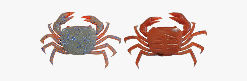 Freshwater Crab, HD Png Download