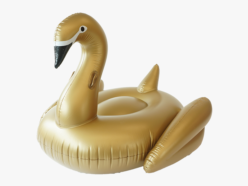 Transparent Pool Floaties Png - Floaties Png, Png Download