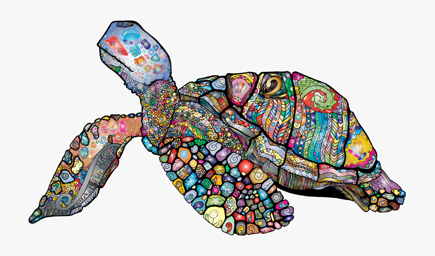 Save The Turtles 2019, HD Png Download