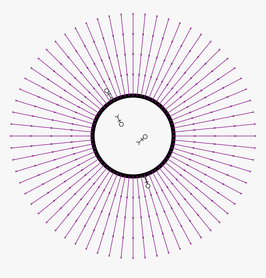 Circle, HD Png Download