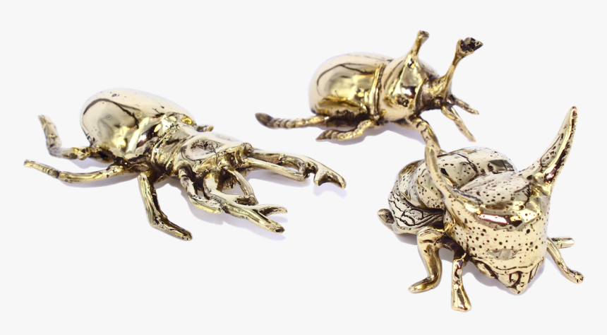 Beetles From $59 - Bee, HD Png Download