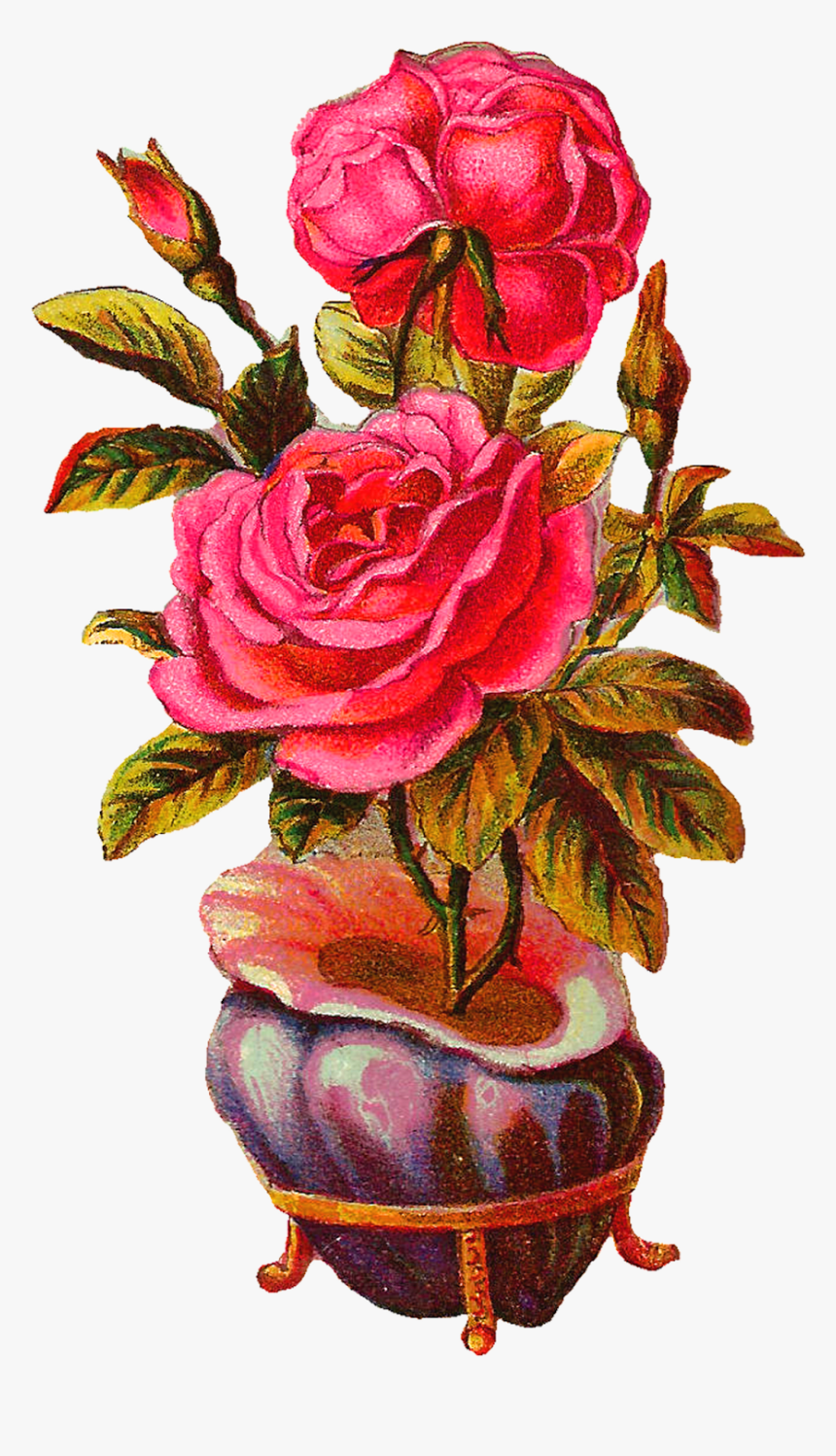 Beautiful Roses Photo Download, HD Png Download