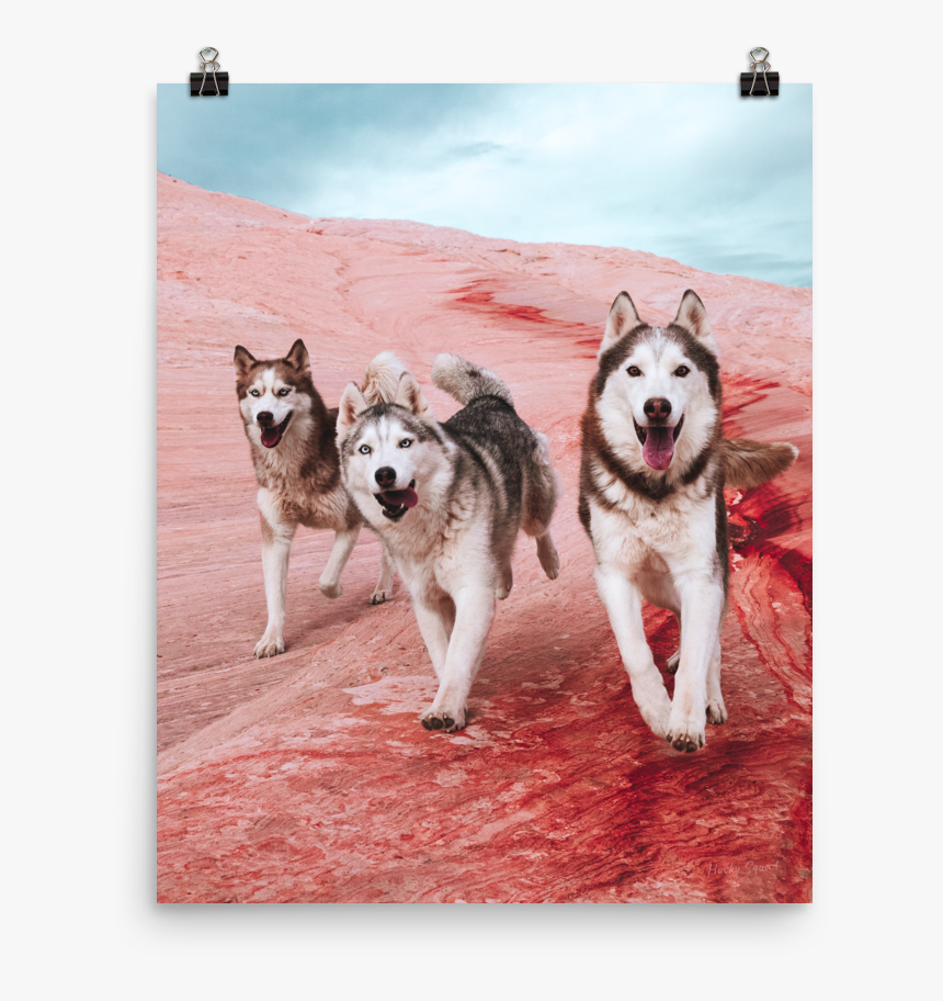 The Rock Poster - Canadian Eskimo Dog, HD Png Download