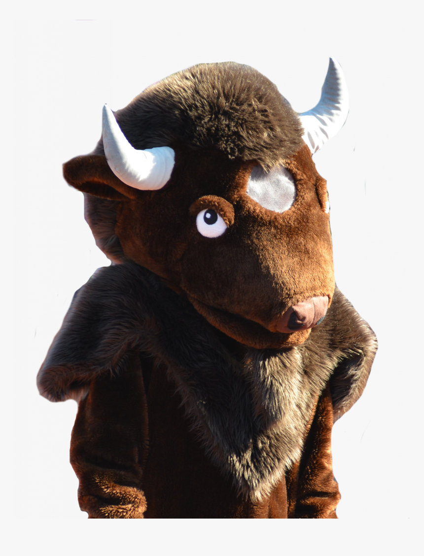 Buff The Bison Harding University, HD Png Download