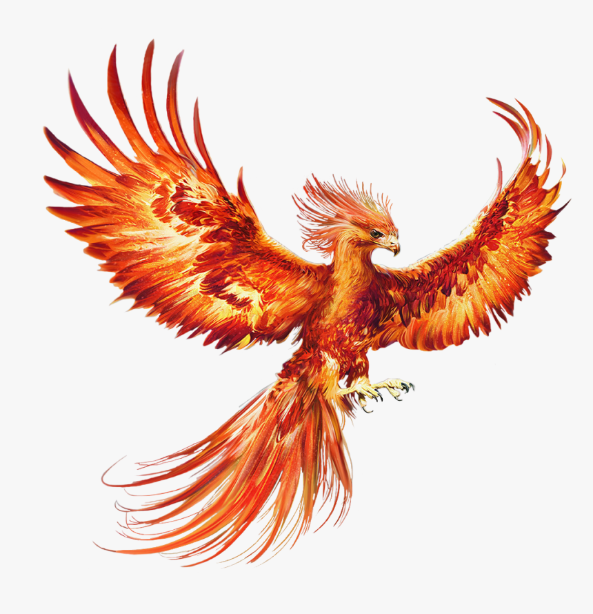 Clip Art Royalty Free Library E Bae F - Phoenix Bird, HD Png Download
