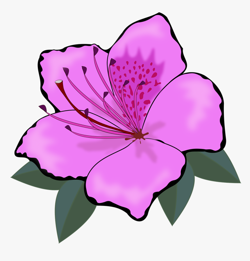 Orange Flowers Clip Art, HD Png Download