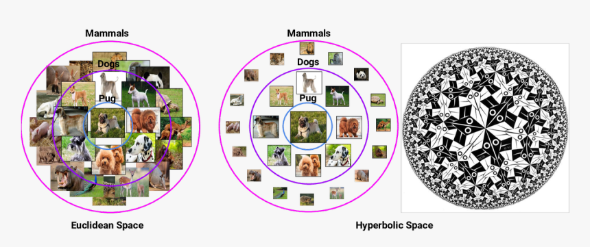 Circle Limit One, HD Png Download