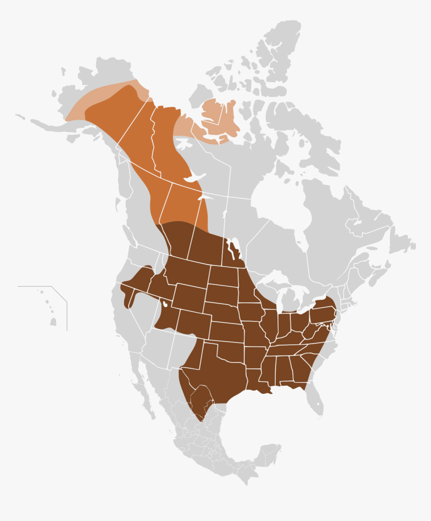 American Bison Range, HD Png Download
