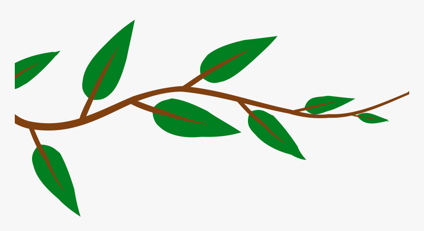 Plant,flora,leaf - Vines Png Clipart, Transparent Png