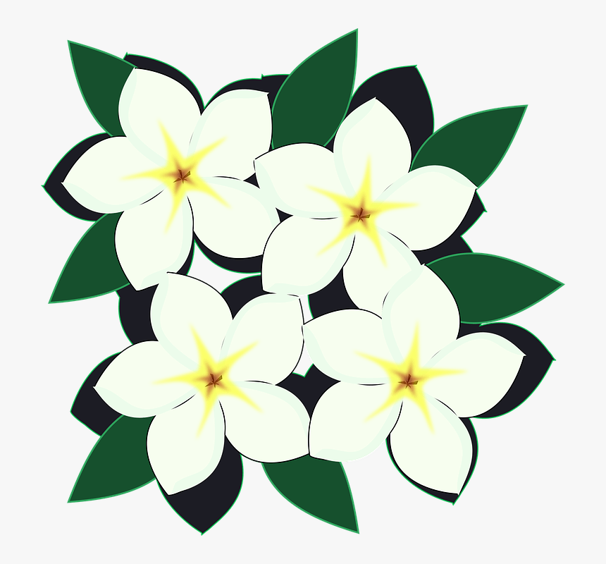 Thumb Image, HD Png Download