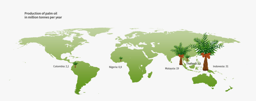 The World S Largest Producers Of Palm Oil High Resolution Vector