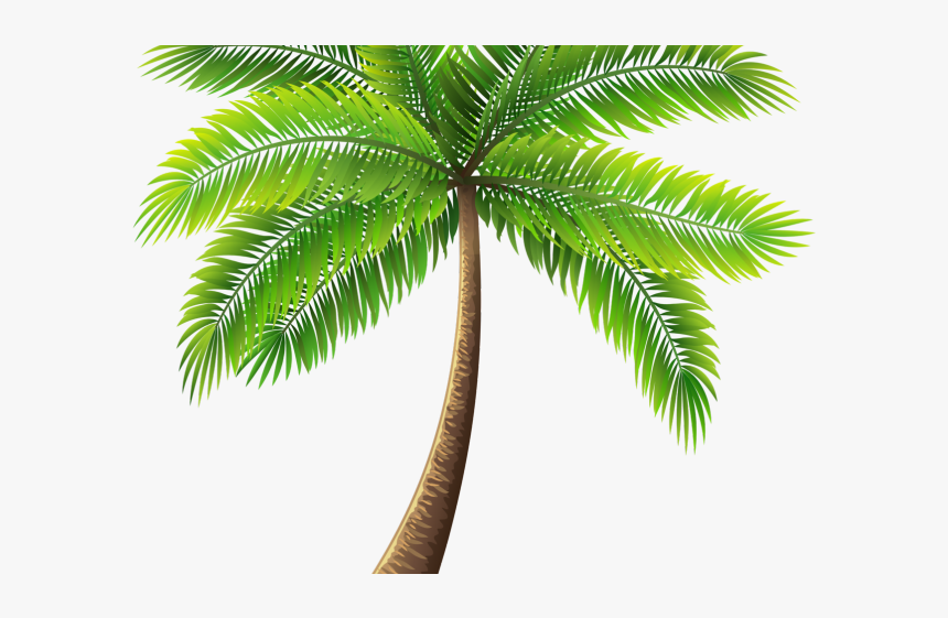 Transparent Background Palm Tree Png, Png Download