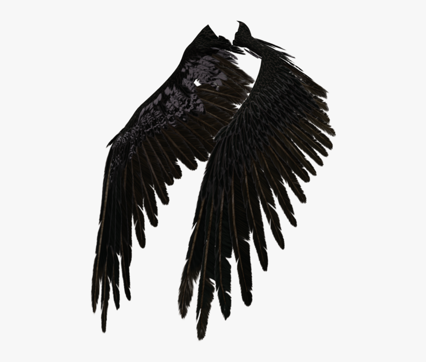 Transparent Eagle Wings Spread Clipart Black And White - Black Angel Wings Png, Png Download