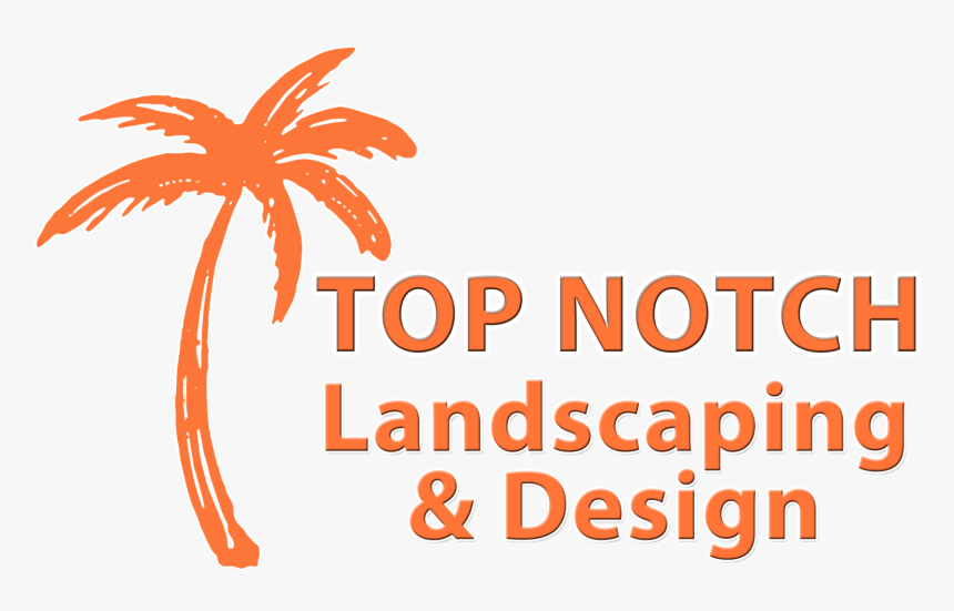 Orange Palm Tree Logo Text, HD Png Download