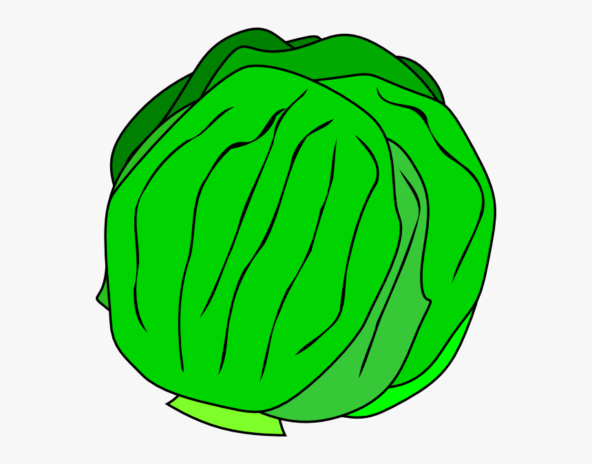 Whole Lettuce Svg Clip Arts - Lettuce Clip Art, HD Png Download