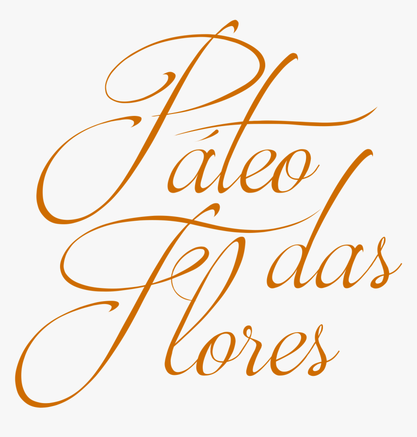 Páteo Das Flores - Illustration, HD Png Download