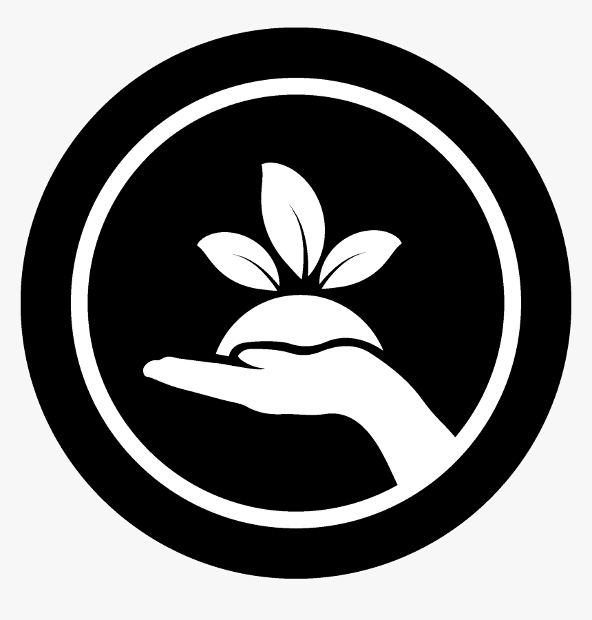 Vine Icon Png, Transparent Png