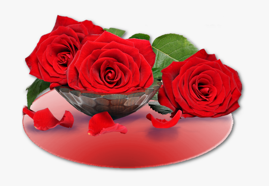 Rose Bon Mercredi, HD Png Download