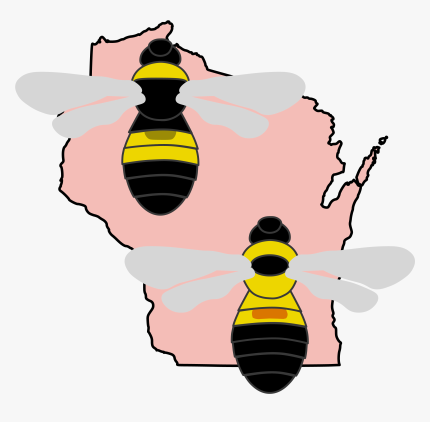Illustrations Of Two Now Rare Species Of Bumble Bee, - Silhouette State Of Wisconsin Outline, HD Png Download