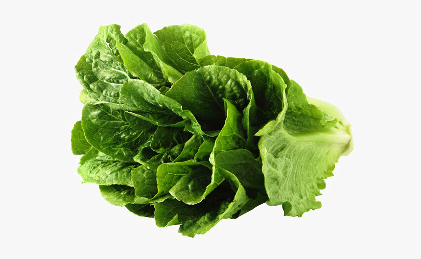 Lettuce Png 3 » Png Image - Lettuce Png, Transparent Png