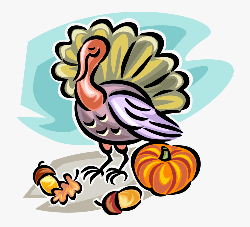 Vector Illustration Of Fall Or Autumn Harvest Pumpkin, - Turkey, HD Png Download