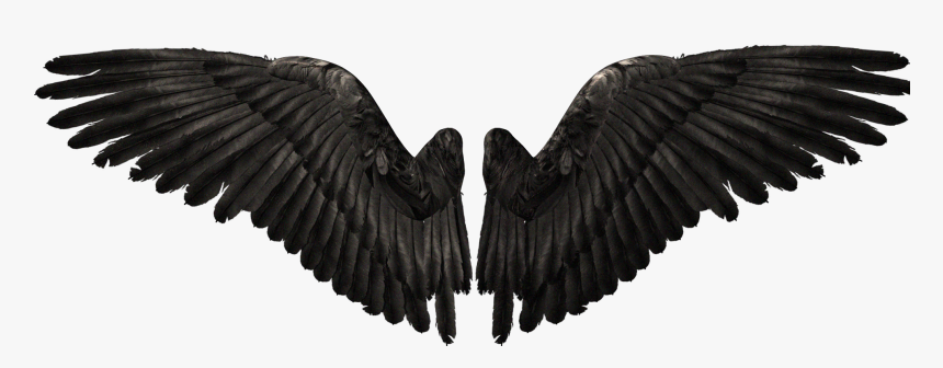 Realistic Demon Wings Png, Transparent Png