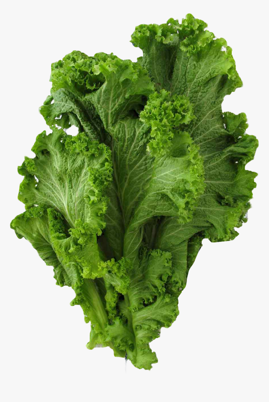Mustard Greens Png, Transparent Png