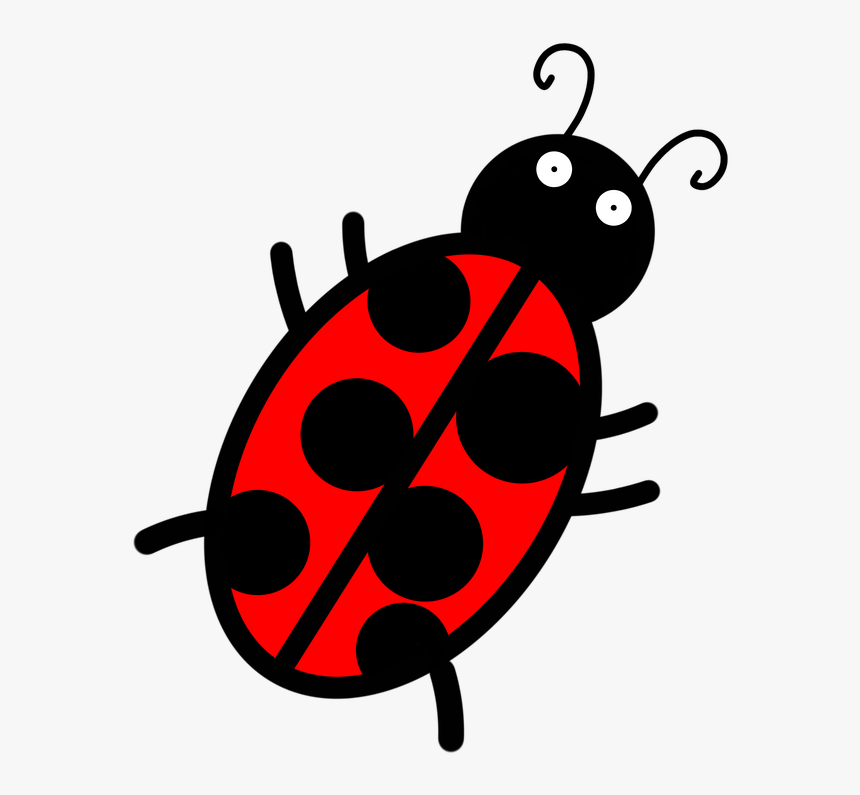 Ladybug, Bug, Wildlife, Micro, Drowning, Cartoon - Ladybug, HD Png Download