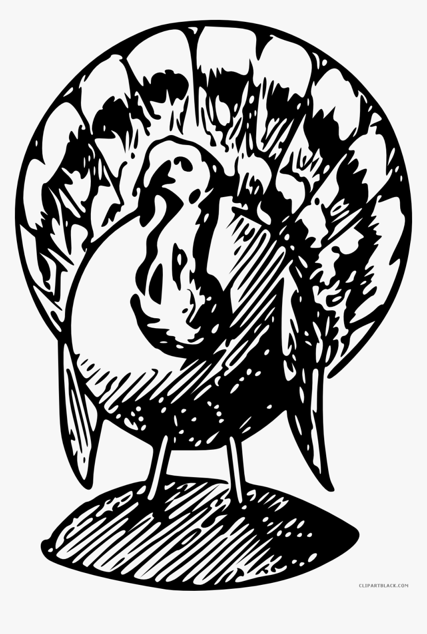 Turkey Png Black And White - Black And White Turkeys Clip Art, Transparent Png