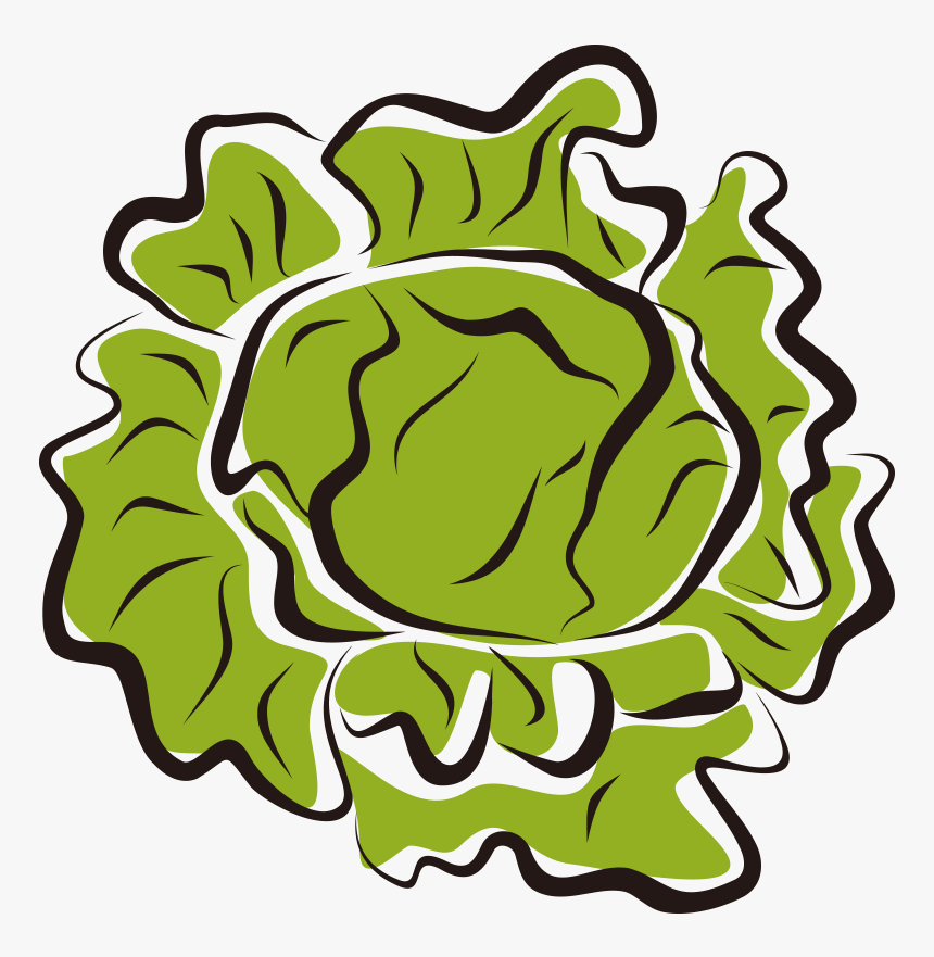 Iceberg Salad Clip Art Royalty Free - Lettuce Clip Art, HD Png Download