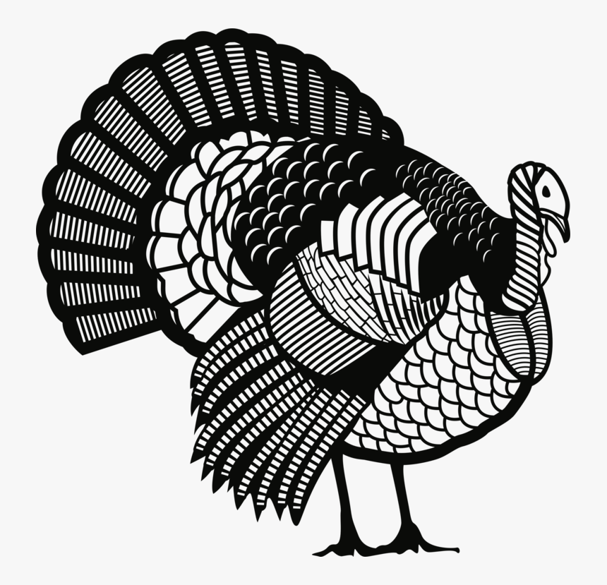 Turkey,line Art,domesticated Turkey, HD Png Download