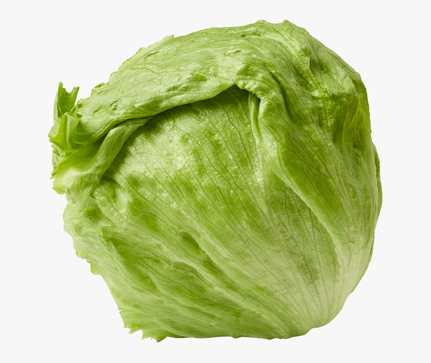 Week 26 Of Pregnancy Infant Uterus - Bigs My Baby At 26 Weeks, HD Png Download