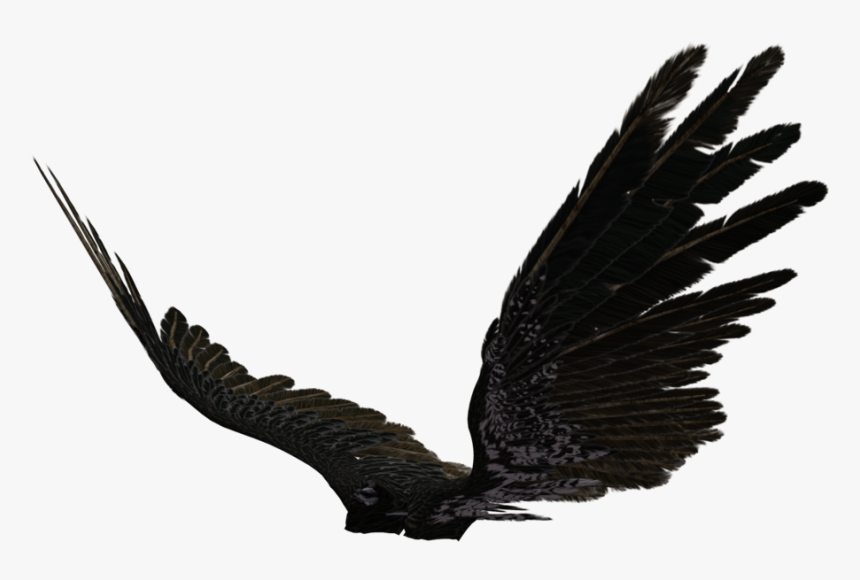 Dark Angel Clipart Transparent - Black Angel Wings Side View, HD Png Download