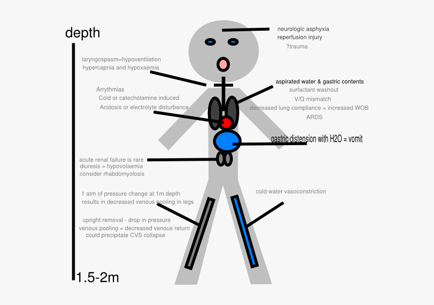Stick Figure Pathophysiology Of Drowning Svg Clip Arts - Pathophysiology Of Drowning Diagram, HD Png Download