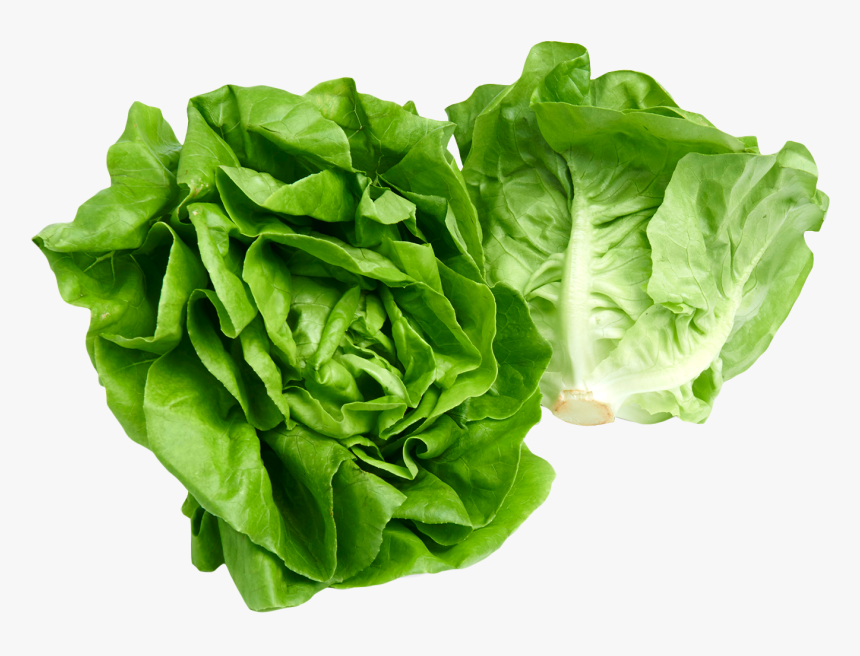 Lettuce Png, Transparent Png