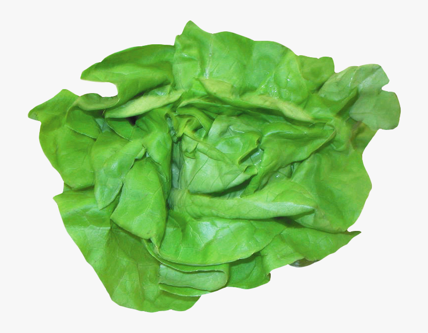 Fresh Lettuce Png Image - Sandwich Lettuce Png, Transparent Png