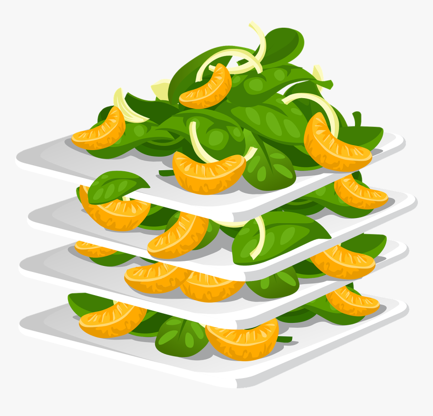 Salad Clip Art Clipart - Myth Vs Fact Food, HD Png Download