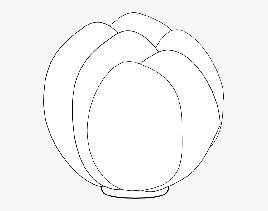 Lettuce Svg Clip Arts - Circle, HD Png Download