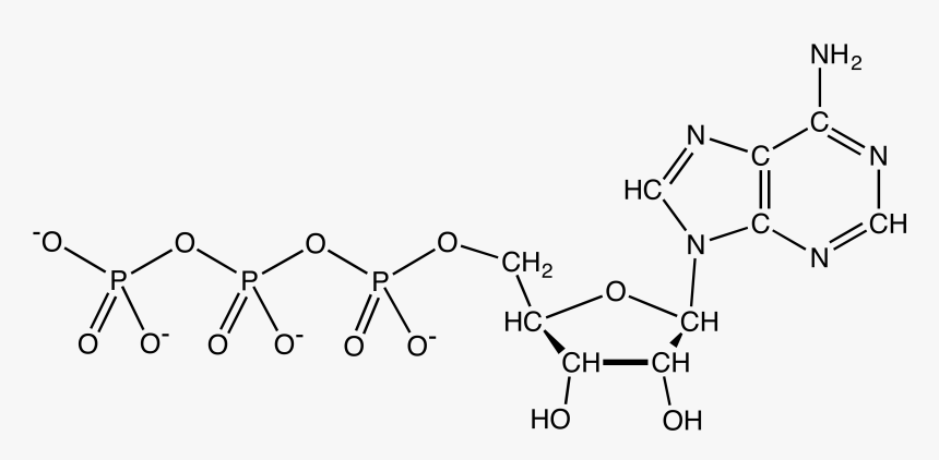File - Atpanionchemdraw - Chemical Formula For Atp, HD Png Download
