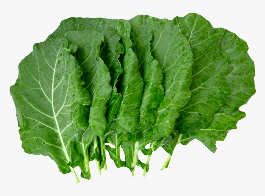 Lettuce Clipart Collard Greens - Collard Greens Png, Transparent Png