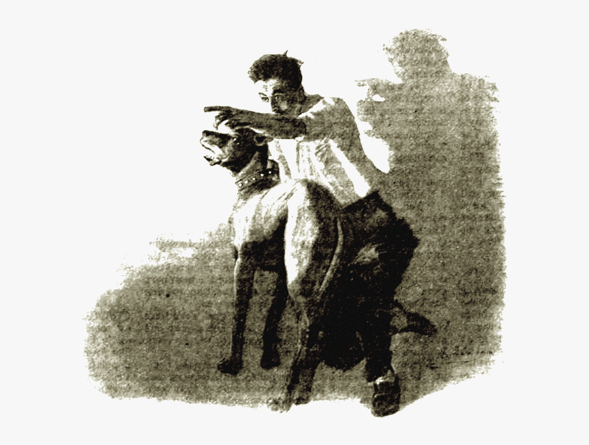Illustration 
title Illustration - Jockey, HD Png Download