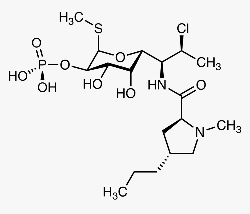 Clindamycin Phosphate - Clindamycin, HD Png Download