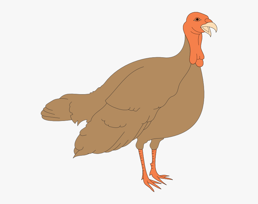Turkey Hen Clipart, HD Png Download