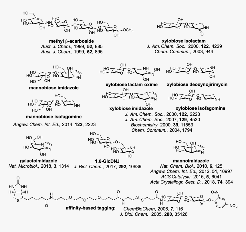 Document, HD Png Download